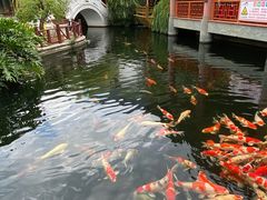 -香麒园·过桥米线·南湖雅宴