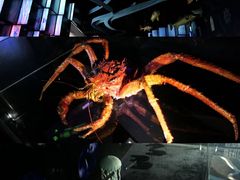 -同济大学四平路校区深海探索馆