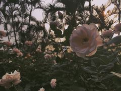 -人民公园(罗湖区)