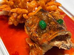 松鼠桂鱼-松鹤楼(狮山永利广场店)