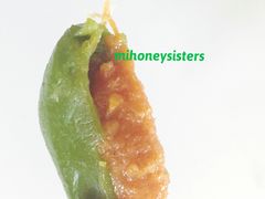 青团-乔家栅(襄阳南路店)