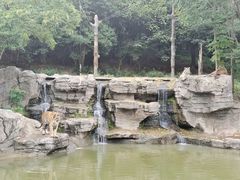 -宁波野生动物园