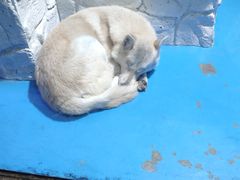 -大连圣亚海洋世界
