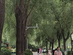 -丁香湖公园