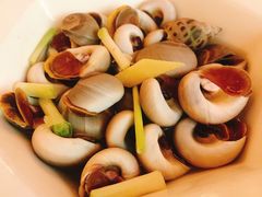 酱杂螺-鹰龙海畔度假酒店(咸祥店)