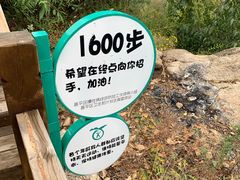 -大岭沟猕猴桃谷风景区