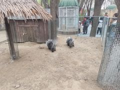 -北京世界公园
