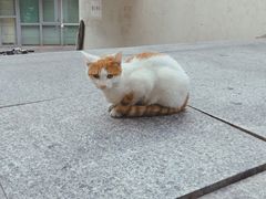 -苏州大学独墅湖校区-第6食堂