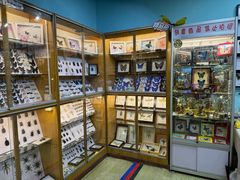-上海大自然野生昆虫馆(东方明珠·爬宠昆虫探索中心)