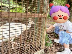 -水底山庄园温泉