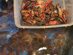 -二钳洞庭虾蟹·江湖菜(成都鹭岛店)