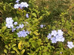 -小仙居·农家宴烤羊· 农庄