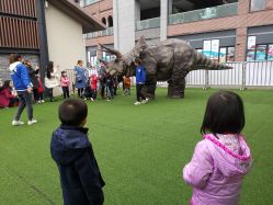 点击看大图 -恐龙探索乐园(磁器口店)