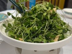 -一品江南韵·淮扬菜