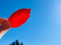 -北京西山国家森林公园