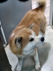 -泫舞舞蹈工作室