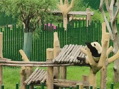 -沈阳森林动物园