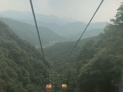 -王顺山国家森林公园