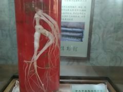 -广东中医药博物馆