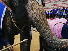 -东芭乐园