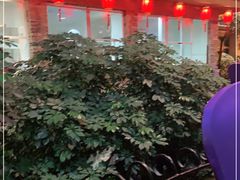 -九尊食上(生态园林酒店)