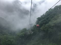 -牛背梁国家森林公园