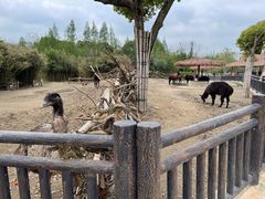 -宁波野生动物园