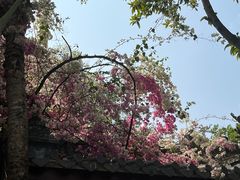 -深圳国际园林花卉博览园