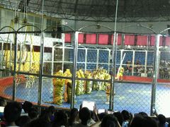 android_upload_pic-西安秦岭野生动物园