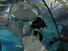 -福州罗源湾海洋世界旅游区
