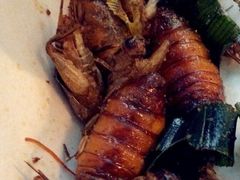 -席娜卡琳火车铁道夜市