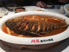 -阿五黄河大鲤鱼(纬三路店)