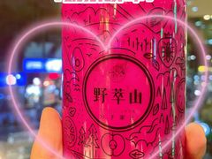 -野萃山·潮汕厚果汁(十亩地店)