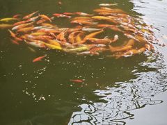 -年辉渔村