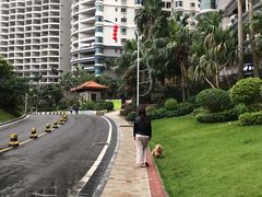 -碧桂园十里银滩