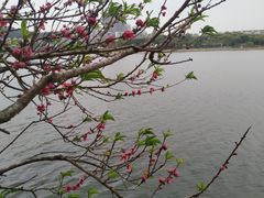 -水濂山水库景点停车场