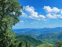 -莫干山风景区