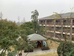 -成都安仁福朋喜来登酒店