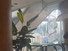 -上海浦东华美达大酒店