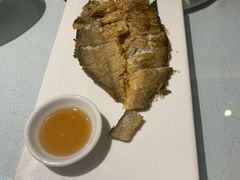 -沪碟·精菜坊(闵行店)