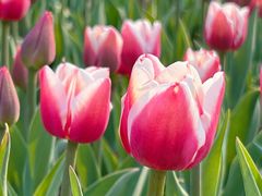 -玄武湖景区-情侣园游乐场