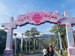 -北京凤凰岭