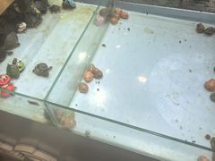 -万达广场(南京江宁店)