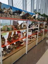 -IMON·HANSA潮玩玩偶毛绒玩具(通州万象汇店)