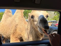 -南京金牛湖风景区