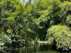 -棠湖公园