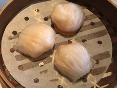 -皇朝会.经典传统粤菜(外滩店)