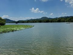 -杭州植物园