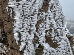 -东白山