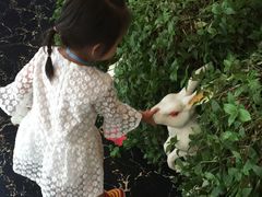 -洛阳龙门海洋馆
